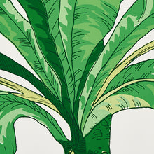 Load image into Gallery viewer, Schumacher Blair House Palm Wallpaper 5004064 / Green