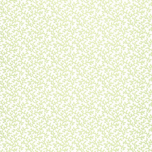 Schumacher Coral Vine Wallpaper 5004412 / Aloe