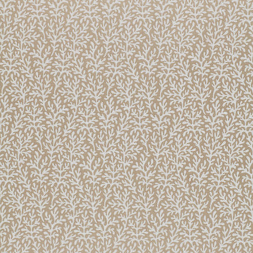 Schumacher Sea Coral Wallpaper 5004731 / Champagne
