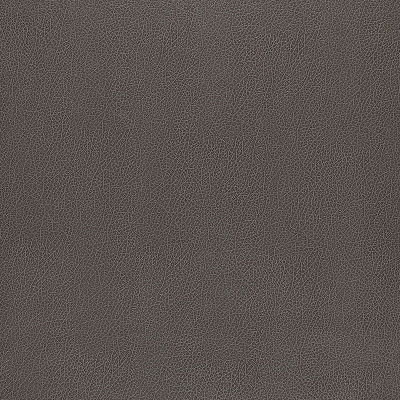 Schumacher Canyon Leather Wallpaper 5006216 / Smoke