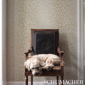 Schumacher Iconic Leopard Wallpaper 5007020 / Ivory on neutral