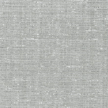 Load image into Gallery viewer, Schumacher Anodized Raffia Wallpaper 5007780 / Platinum