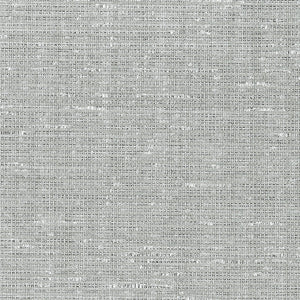 Schumacher Anodized Raffia Wallpaper 5007780 / Platinum