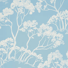 Load image into Gallery viewer, Schumacher Timber ! Wallpaper 5007982 / Cloud