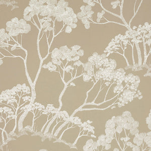 Schumacher Timber ! Wallpaper 5007983 / Natural