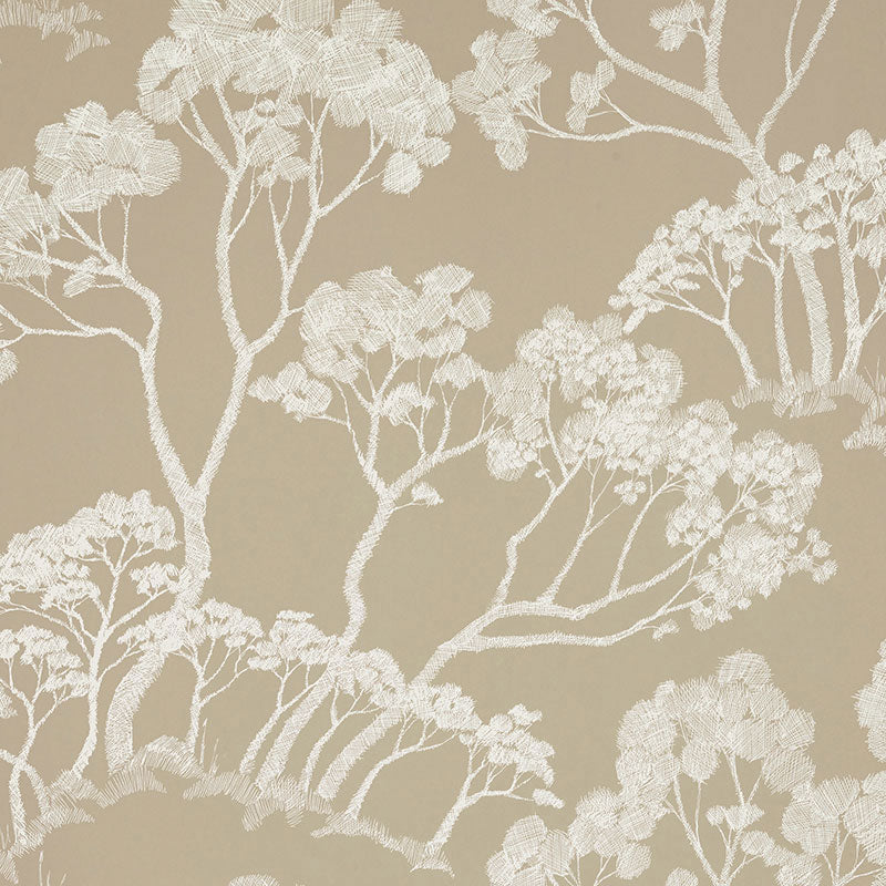 Schumacher Timber ! Wallpaper 5007983 / Natural