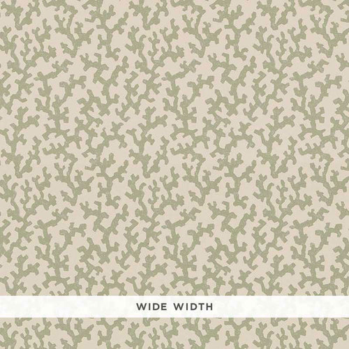 Schumacher Folly Wallpaper 5008003 / Sage