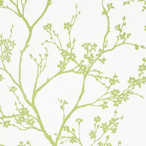Schumacher Twiggy Paperweave Wallpaper 5008941 / Leaf