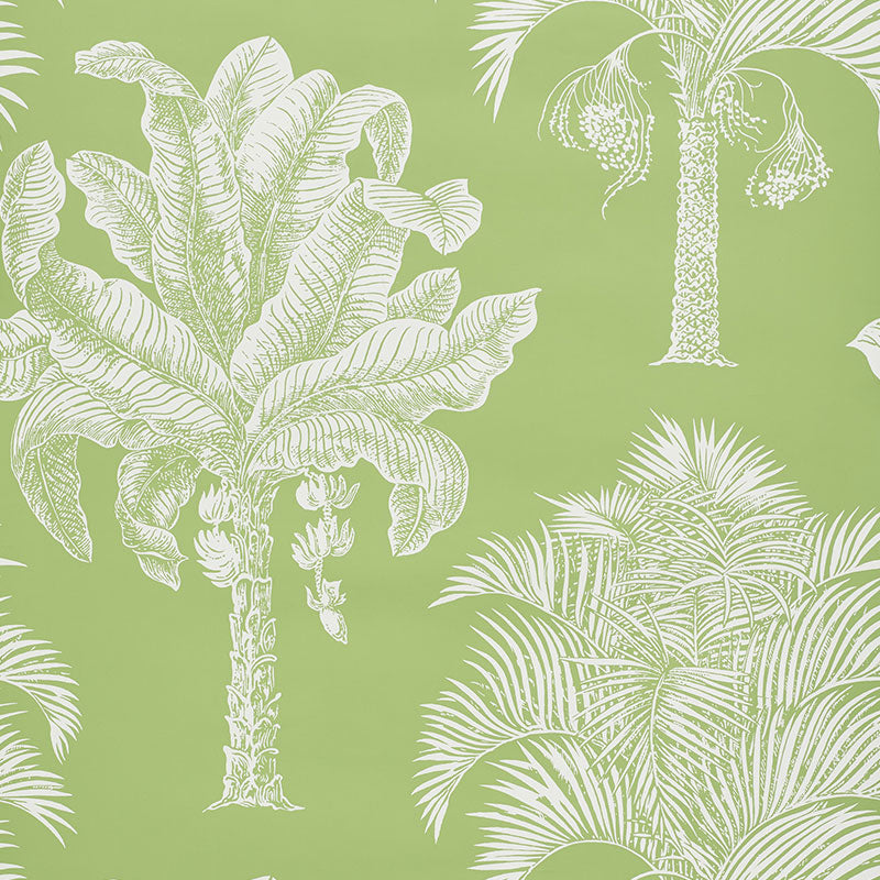 Schumacher Grand Palms Wallpaper 5009620 / Leaf