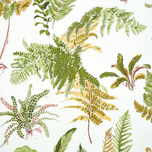 Load image into Gallery viewer, Schumacher Les Fougeres Wallpaper 5010661 / Spring