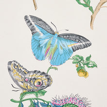 Load image into Gallery viewer, Schumacher Baudin Butterfly Wallpaper 5010691 / Turquoise