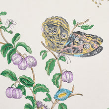 Load image into Gallery viewer, Schumacher Baudin Butterfly Wallpaper 5010691 / Turquoise