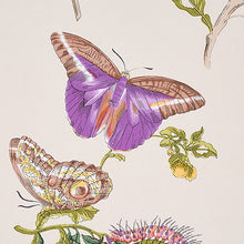 Load image into Gallery viewer, Schumacher Baudin Butterfly Wallpaper 5010692 / Purple