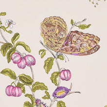 Load image into Gallery viewer, Schumacher Baudin Butterfly Wallpaper 5010692 / Purple