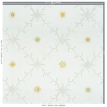 Load image into Gallery viewer, Schumacher Palladio Trellis Wallpaper 5011371 / Neutral