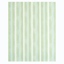 Load image into Gallery viewer, Schumacher Watercolor Stripe Wallpaper 5011570 / Leaf