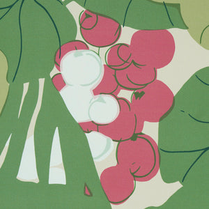 Schumacher Sea Grapes Wallpaper 5011731 / Tropical