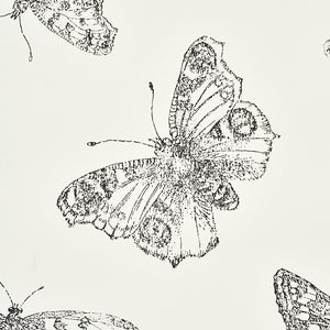 5011741  Burnell Butterfly, Blue - Schumacher Wallcovering