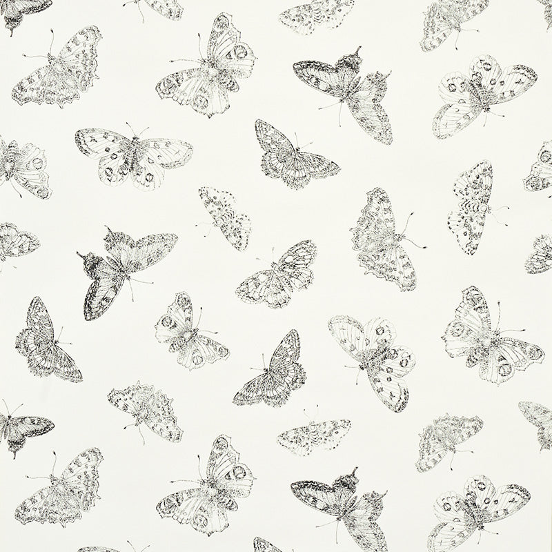 Schumacher Burnell Butterfly Wallpaper Blue, Fabric Bistro, Columbia