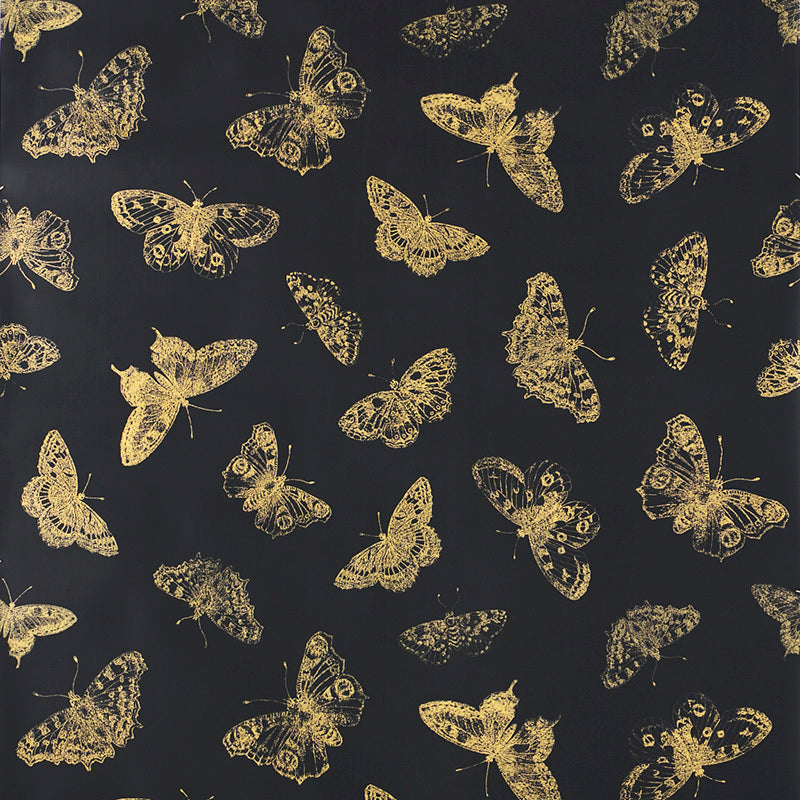 Dark Vintage Butterfly Wallpaper Perfect to Add Charm to Any 