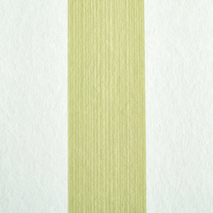 Schumacher Edwin Stripe Medium Wallpaper 5011888 / Citron