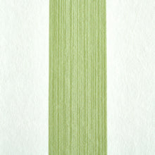 Load image into Gallery viewer, Schumacher Edwin Stripe Medium Wallpaper 5011889 / Leaf