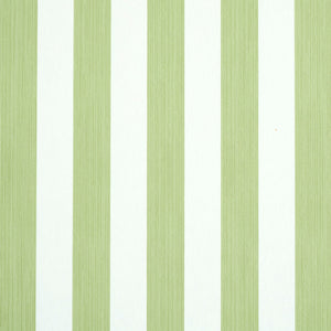 Schumacher Edwin Stripe Medium Wallpaper 5011889 / Leaf