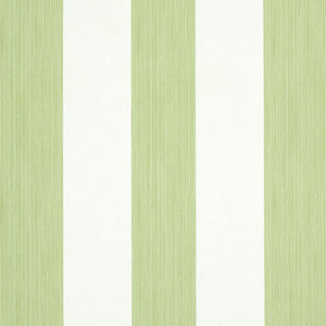 Schumacher Edwin Stripe Wide Wallpaper 5011909 / Leaf