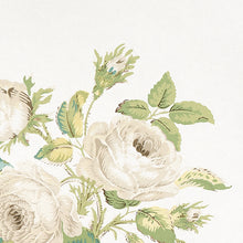 Load image into Gallery viewer, Schumacher Loudon Rose Wallpaper 5012030 / Ivory