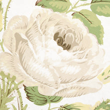 Load image into Gallery viewer, Schumacher Loudon Rose Wallpaper 5012030 / Ivory