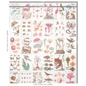 Schumacher Bauhin Wallpaper 5012091 / Soft Multi