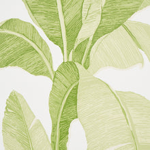Load image into Gallery viewer, Schumacher Erisimo Wallpaper 5012110 / Leaf