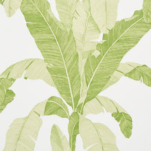 Load image into Gallery viewer, Schumacher Erisimo Wallpaper 5012110 / Leaf