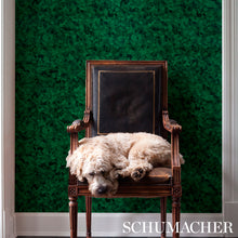 Load image into Gallery viewer, Schumacher Xanadu Wallpaper 5012600 / Malachite