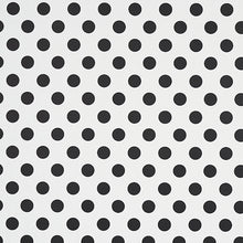 Load image into Gallery viewer, Schumacher Lady Wallpaper 5012610 / Black &amp; White