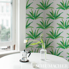 Load image into Gallery viewer, Schumacher Canyon Ferns Wallpaper 5012621 / Jungle