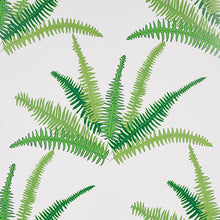 Load image into Gallery viewer, Schumacher Canyon Ferns Wallpaper 5012621 / Jungle