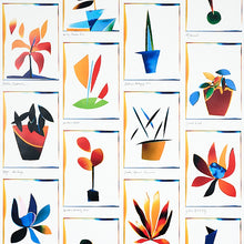 Load image into Gallery viewer, Schumacher Botanicals Wallpaper 5012690 / Spectrum Multi