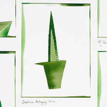 Load image into Gallery viewer, Schumacher Botanicals Wallpaper 5012691 / Greenhouse