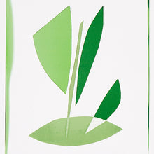 Load image into Gallery viewer, Schumacher Botanicals Wallpaper 5012691 / Greenhouse