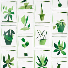 Load image into Gallery viewer, Schumacher Botanicals Wallpaper 5012691 / Greenhouse