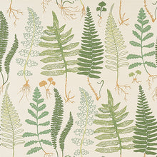 Load image into Gallery viewer, Schumacher Halcott Sisal Wallpaper 5013060 / Forest