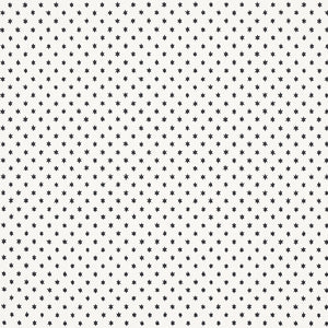 Schumacher Astral Wallpaper 5013140 / Black