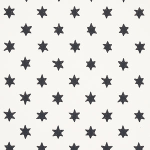 Schumacher Astral Wallpaper 5013140 / Black