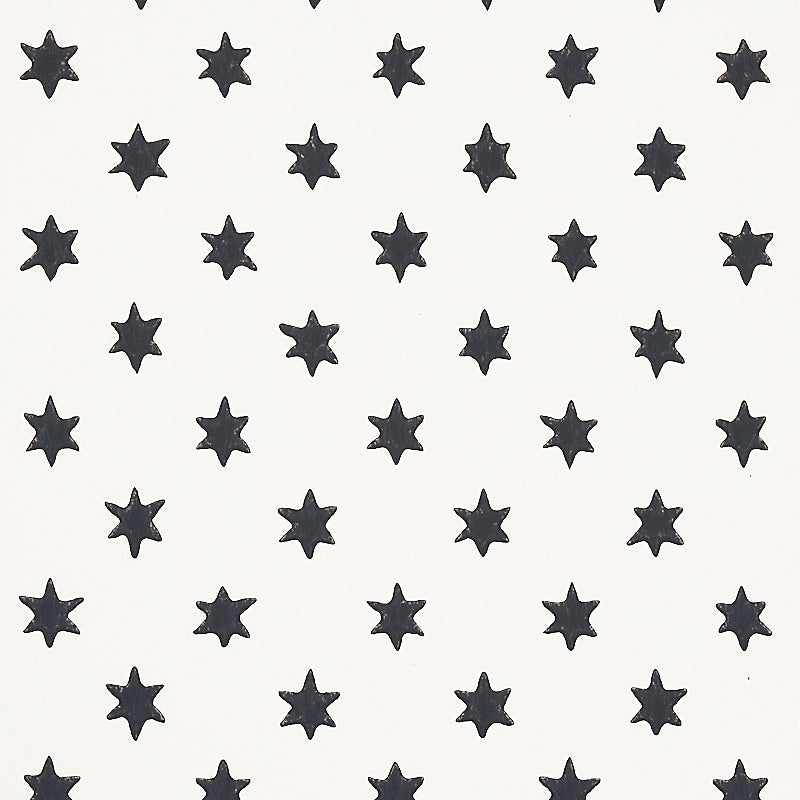 Schumacher Astral Wallpaper 5013140 / Black