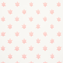 Load image into Gallery viewer, Schumacher Astral Wallpaper 5013144 / Pink