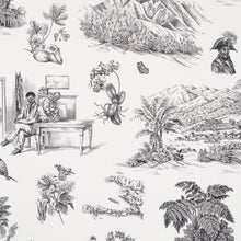 Load image into Gallery viewer, Schumacher Toussaint Toile Wallpaper 5013770 /  Black On Ivory