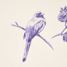 Load image into Gallery viewer, Schumacher Toussaint Toile Wallpaper 5013772 /  Purple On Cream