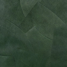 Load image into Gallery viewer, Schumacher Hand Combed Plaster Wallpaper 5013952 / Green Leaf