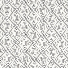Load image into Gallery viewer, SCHUMACHER DURANCE EMBROIDERY FABRIC 55695 / BLACK &amp; WHITE
